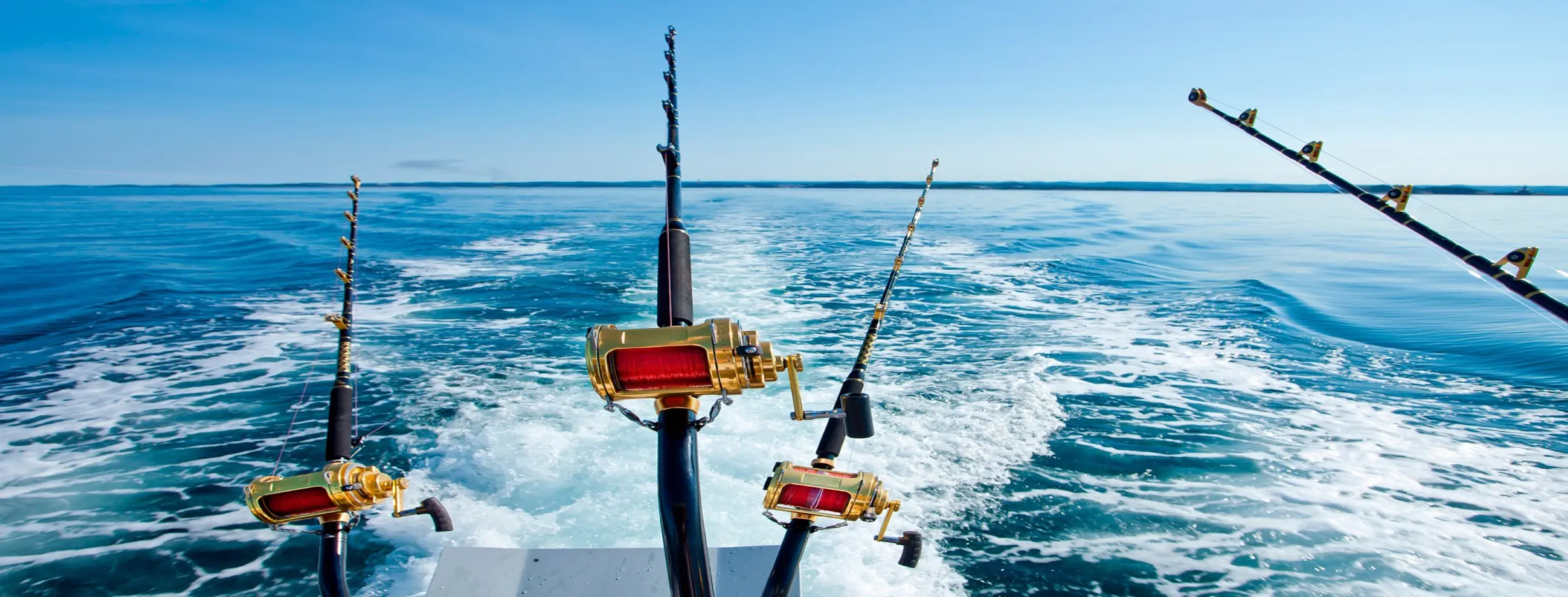 Image for Deepsea Fishing